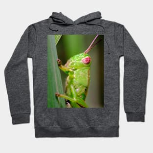 Green Grasshopper Macro Photograph Hoodie